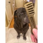 Image 5 of customer photos