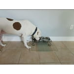 Image 7 of customer photos