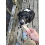 Image 7 of customer photos