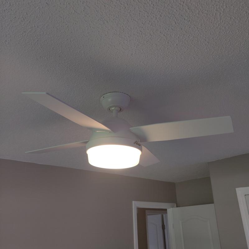 Hunter Dempsey Ceiling Fan Review Shelly Lighting