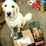 Image 6 of customer photos