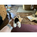 Image 3 of customer photos