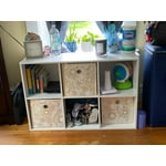 Image 6 of customer photos