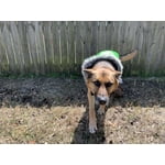 Image 6 of customer photos