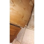 Image 10 of customer photos