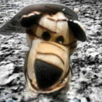 Image 6 of customer photos