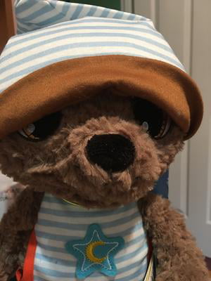 Details about   New Sleepy Caps Dan Dee aprilkind Tommy Bear Stuffed Animal Plush