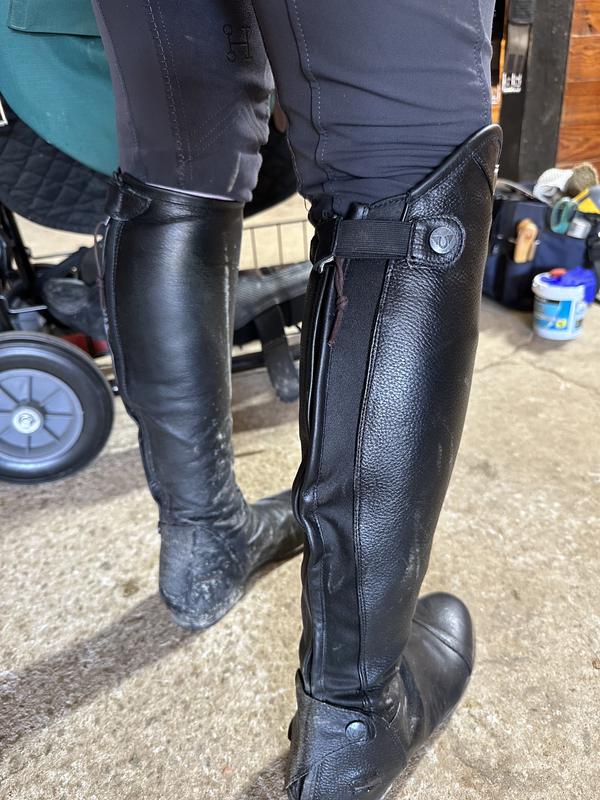 tuffrider ladies belmont dress boot Horse & Kennel Warehouse: TuffRider Ladies Belmont Field Boots