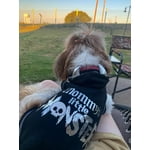 Image 6 of customer photos