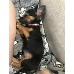 Image 7 of customer photos