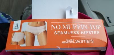 Lot Of 3, Warner's No Muffin Top Seamless Hipster Panties, Size 8/XL, NWT e