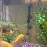 Image 5 of customer photos