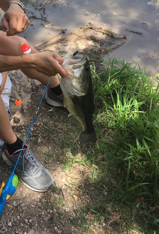 frozen 2 fishing pole