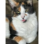 Image 6 of customer photos