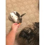 Image 2 of customer photos