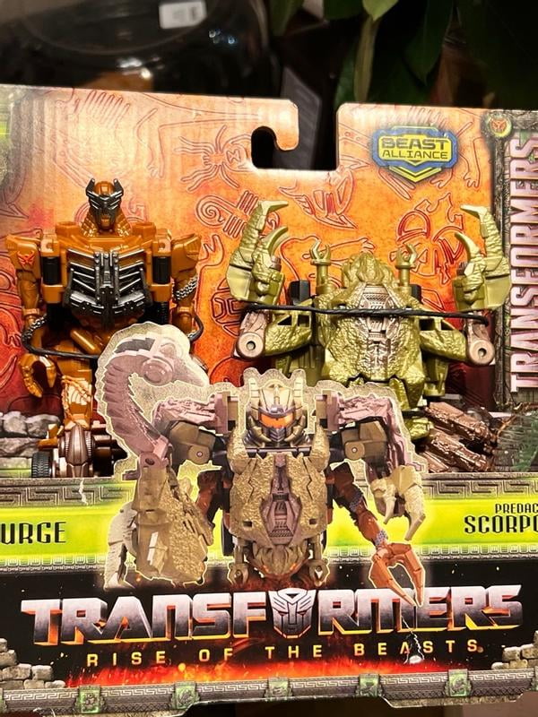 Transformers Beast Alliance: 2-Pack Scourge & Scorponok, Age