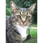 Image 7 of customer photos