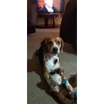 Image 6 of customer photos