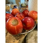 Image 7 of customer photos