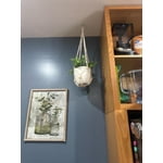 Image 7 of customer photos