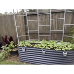 Image 4 of customer photos