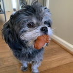 Image 5 of customer photos