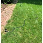Image 8 of customer photos