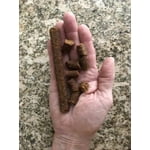 Image 7 of customer photos