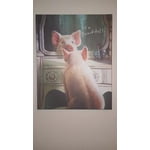 Image 1 of customer photos