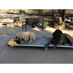 Image 5 of customer photos