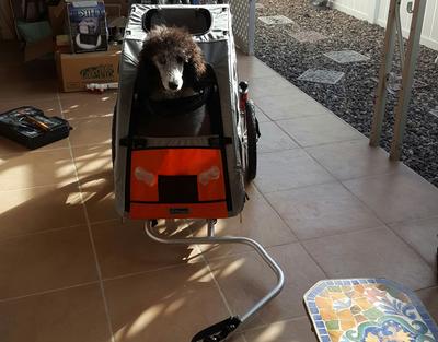 Petego Egr Comfort Wagon Dog Bike Trailer Medium Walmart Com