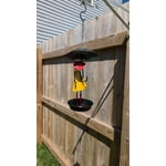 Image 6 of customer photos