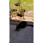 Image 5 of customer photos