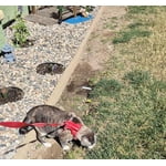 Image 3 of customer photos