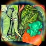 Image 4 of customer photos