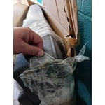 Image 6 of customer photos