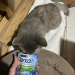 Image 6 of customer photos