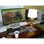 Image 3 of customer photos