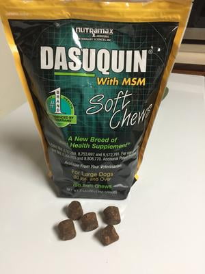 Dog ate bag of dasuquin online