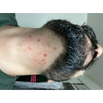 Image 6 of customer photos