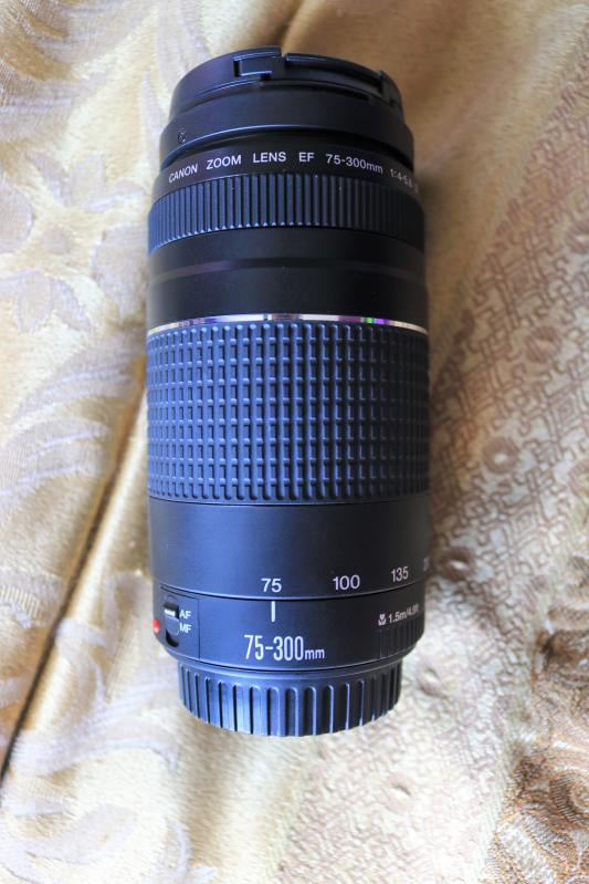 Canon EF 75-300mm f/4-5.6 III Telephoto Zoom Lens - Walmart.com