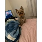 Image 6 of customer photos