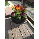 Image 7 of customer photos
