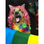 Image 6 of customer photos