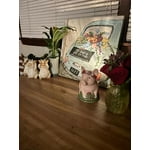 Image 3 of customer photos