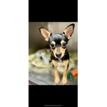 Image 5 of customer photos