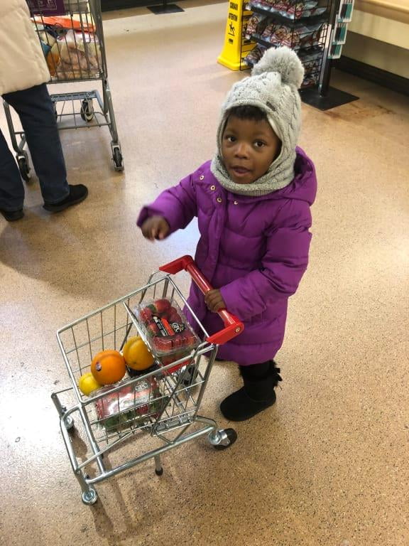 melissa and doug metal shopping cart