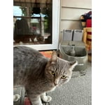 Image 3 of customer photos