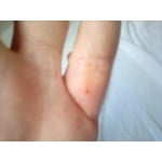 Image 7 of customer photos