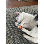 Image 5 of customer photos